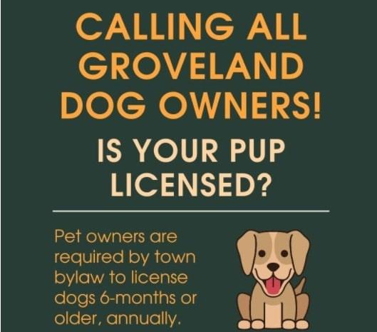 Groveland Police and Town Clerk Remind Dog Owners of Leash Law, Licensing Requirements